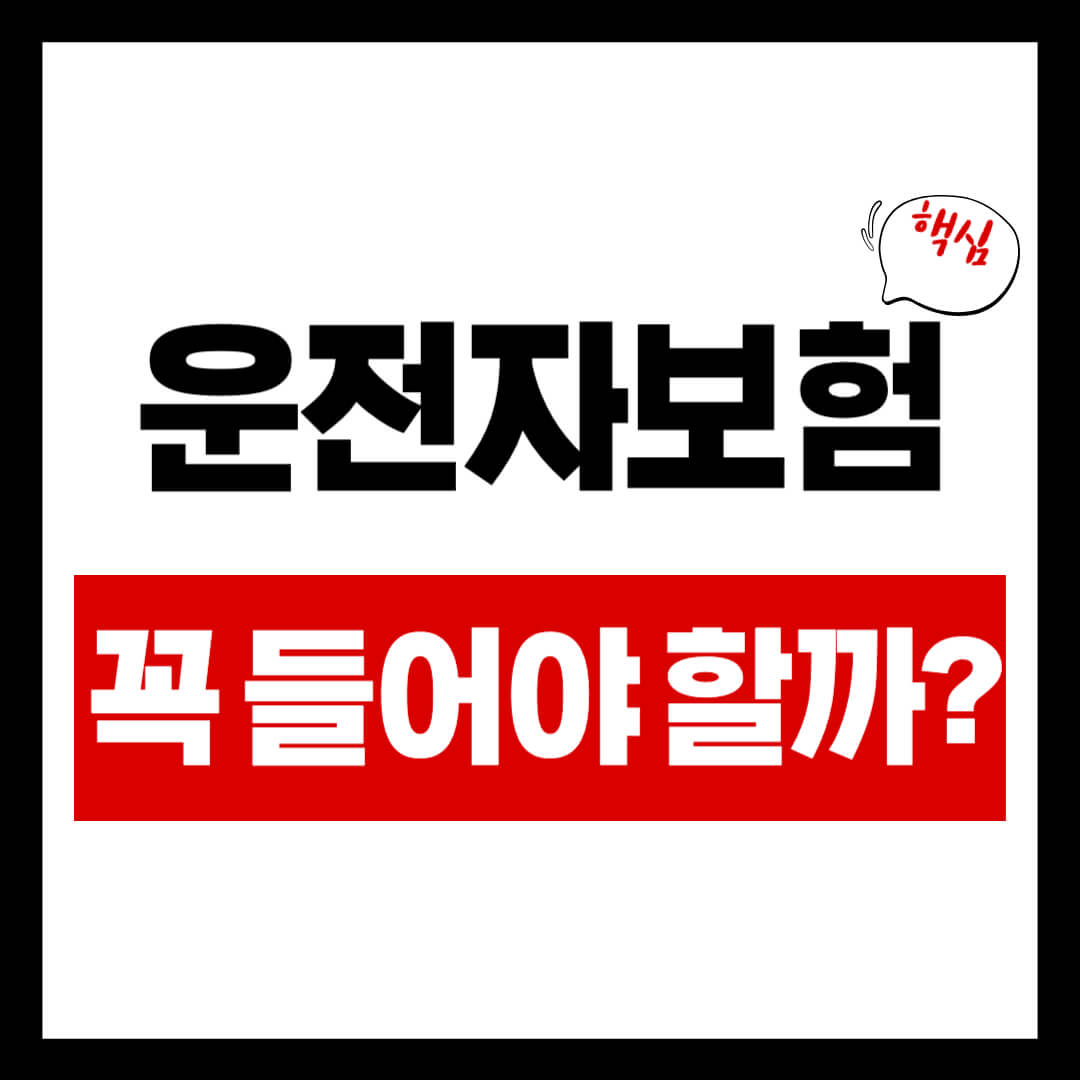 운전자보험 자동차보험 대표 이미지