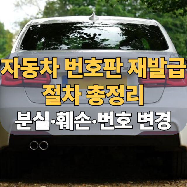 자동차 번호판 재발급 대표 이미지