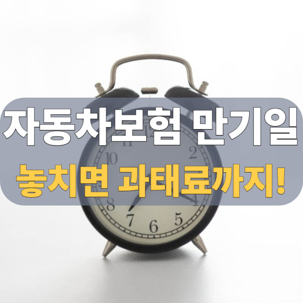 자동차보험 만기일 확인 대표 이미지