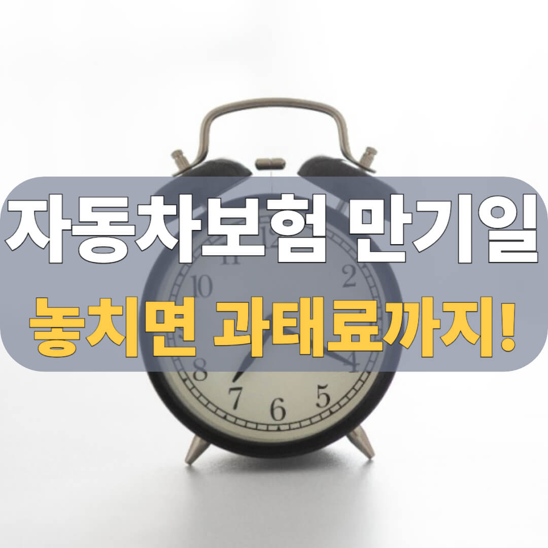 자동차보험 만기일 확인 대표 이미지