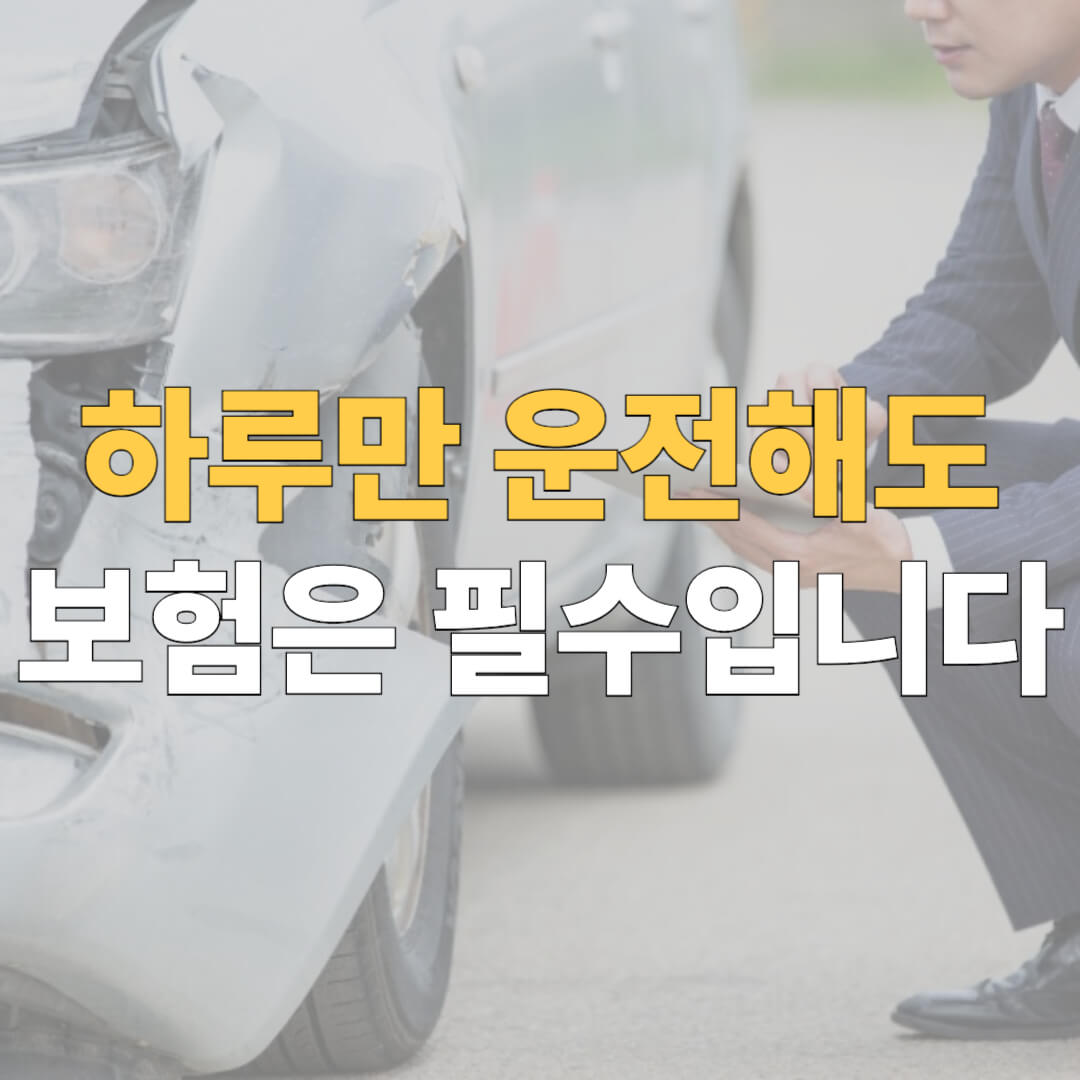 부모님차 일일보험 대표이미지
