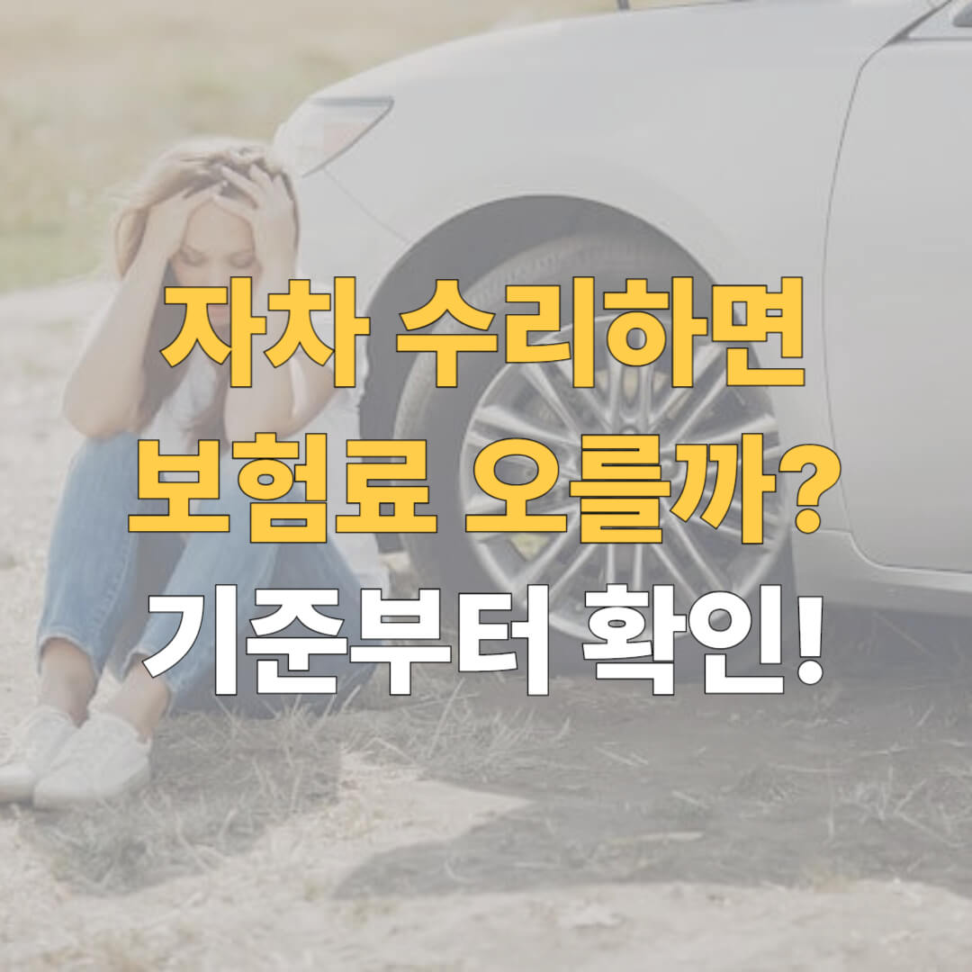 자차수리 할증 기준 대표이미지