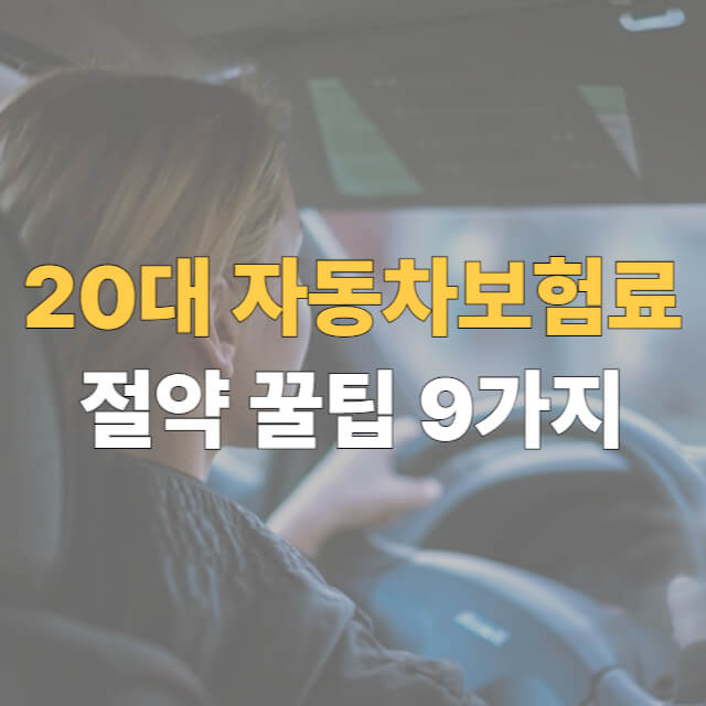 20대 자동차보험료 대표이미지