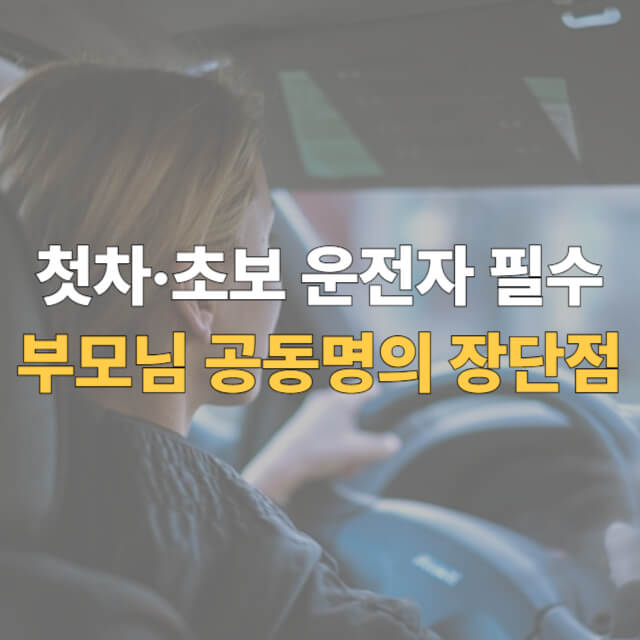 자동차 부모님 공동명의 대표이미지