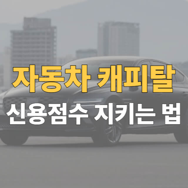 자동차 캐피탈 신용점수 대표이미지
