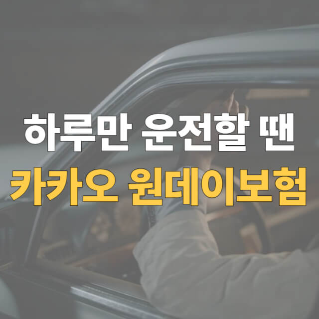 카카오 하루 자동차보험 대표이미지